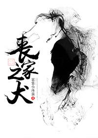 丧家之犬的拼音