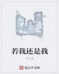 如果我还是那个少年歌词