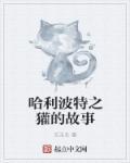 哈利波特獾院厉害吗