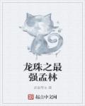 龙珠之最强之战