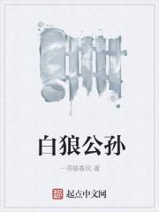公孙白狼txt精校版
