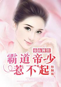 夜夜缠情霸道帝少惹不起