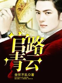 从乡镇到中央的长篇官场