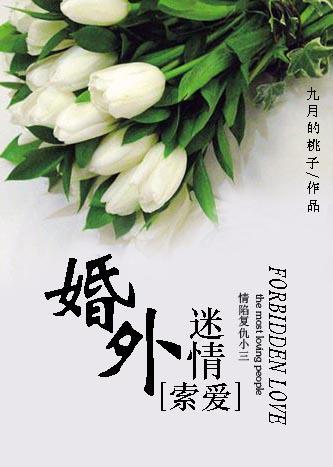 索爱婚外迷情 第14章