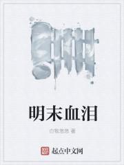 明末血泪全文免费阅读