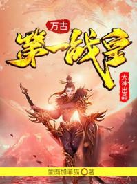 万古第一战皇林寒人物介绍