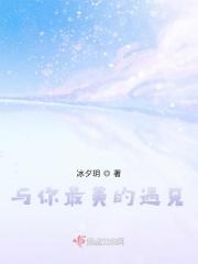 与你最美的时光免费阅读