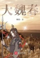 大魏春讲的什么