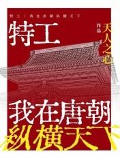 特工我在唐朝纵横天下奇书2