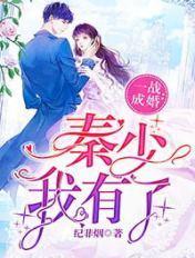 一战成婚秦少我有了完结版