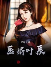 医婿叶辰完整版 免费阅读