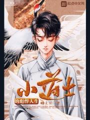 作者小道士