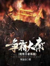 穿越大秦之我有系统