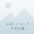 二嫁豪门短剧免费观看