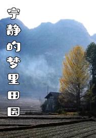 宁静的静