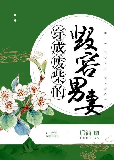 穿成废柴的毁容男妻番外