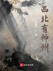 西北有神州曾倚斜阳江上楼