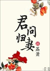 君问归妻何时归