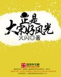 正是大宋好风光歌词