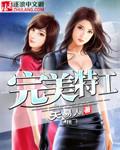 完美特工前传游戏