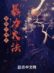全职法师火系技能