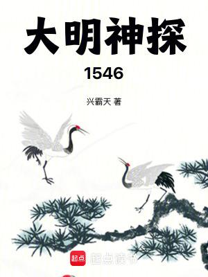 大明密探