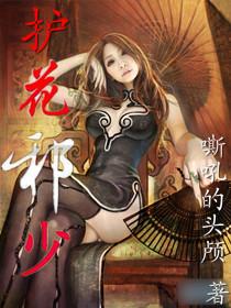 护花邪少杨光全文免费阅读