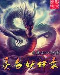 妖灵记免费阅读