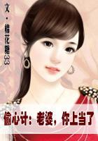 老婆 偷你上瘾全文免费