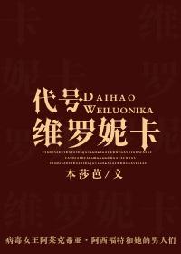 代号维罗妮卡主题曲