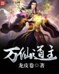 万道仙宫宗主