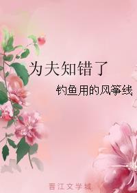 为夫知错了